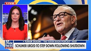 Tudor Dixon: Schumer, Pelosi DESTROYED The Dem Party