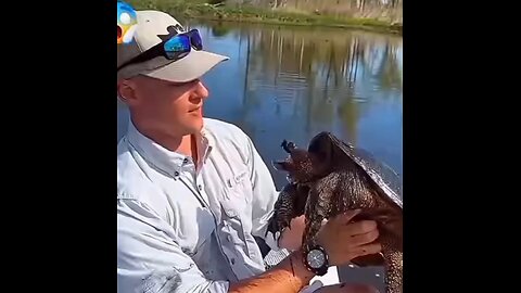 Turtles are very clever animals.