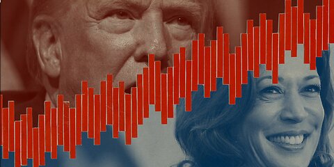 Some Unhinged Election Reactions: A Compilation!