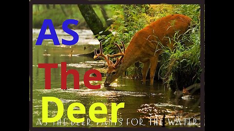 As The Deer short