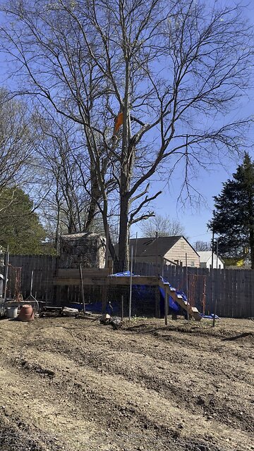 Dimas Velasquez Tree Service 2