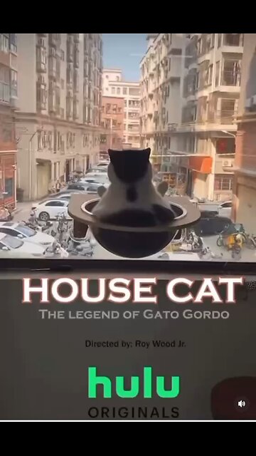 Love All Life Always #438 - The Catfather III - 🤣🤣🤣