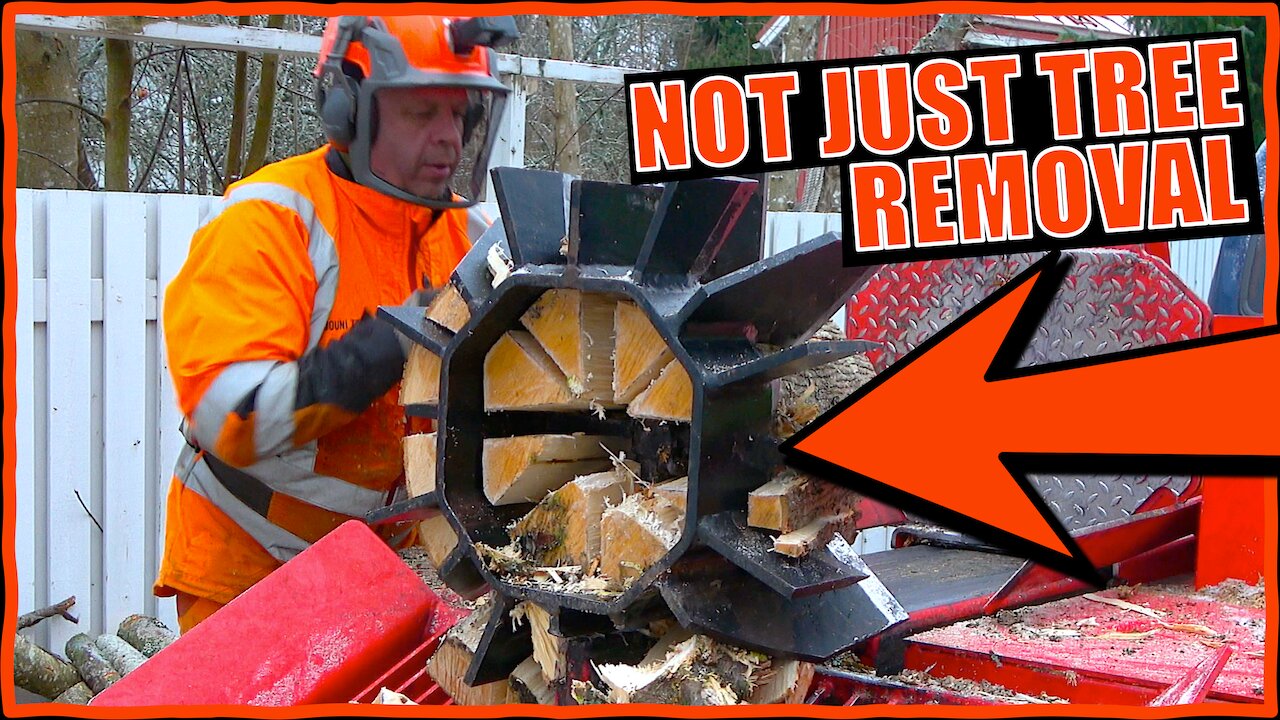 Tree Removal with a Twist – We Make Sauna Wood on the Spot!