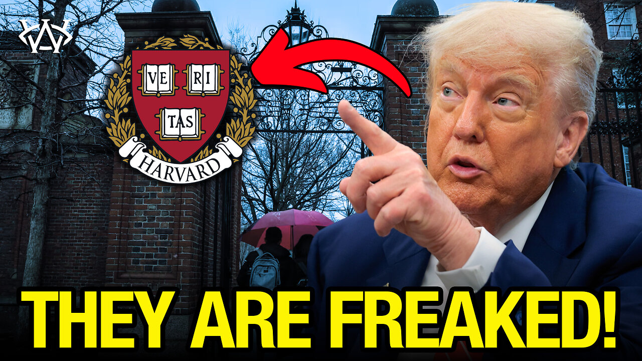 Harvard in PANIC After Trump’s Federal Fund FREEZE!