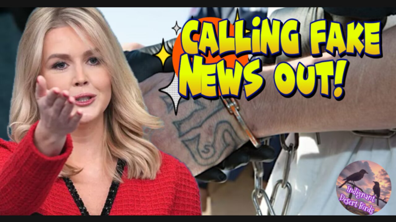 Based Karoline Leavitt calls-out reporter who thinks violent gangs are being discriminated against!