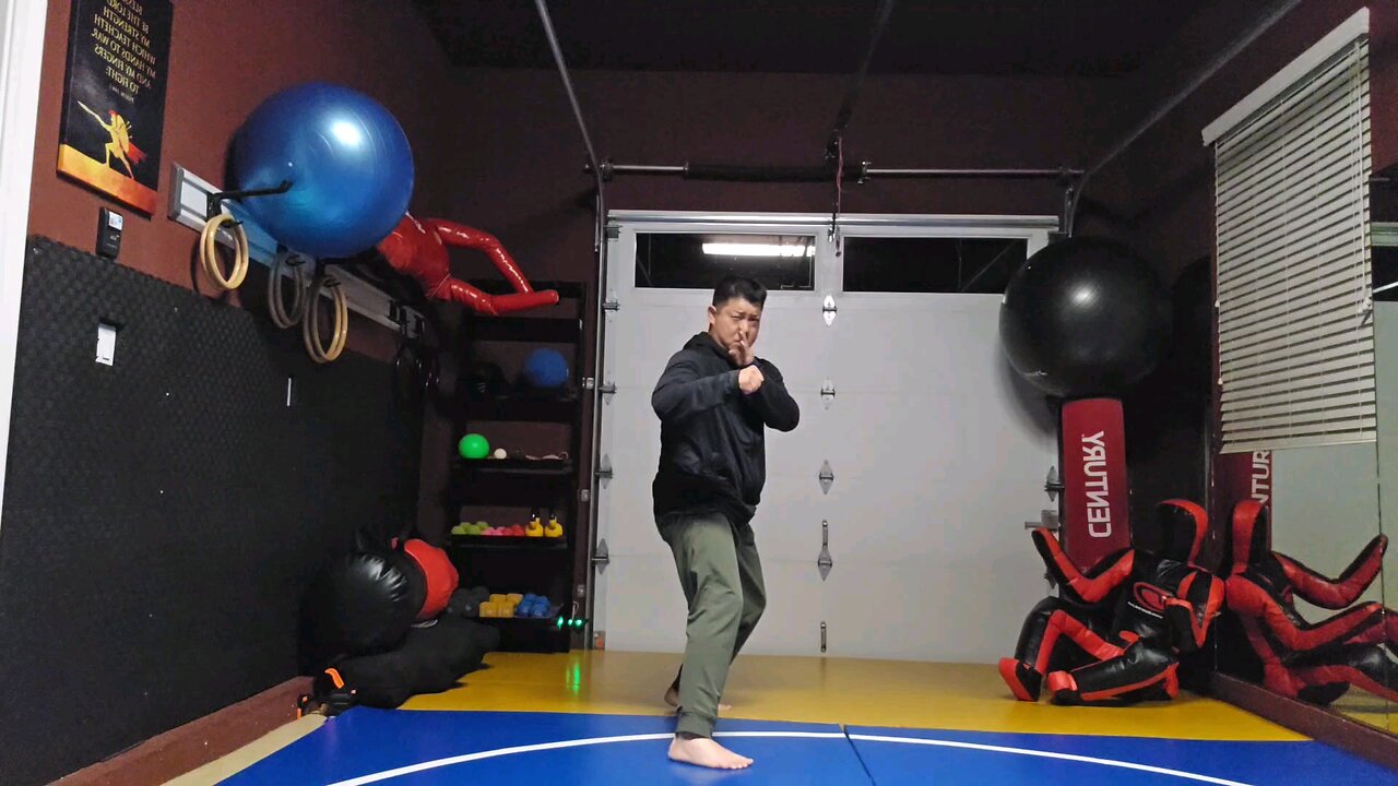 WTD 2 Step Kick Combination 69