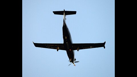 Winged monkey nearly crashed into my house unsafe fly reported