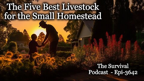 The Five Best Livestock for the Small Homestead - Epi-3642