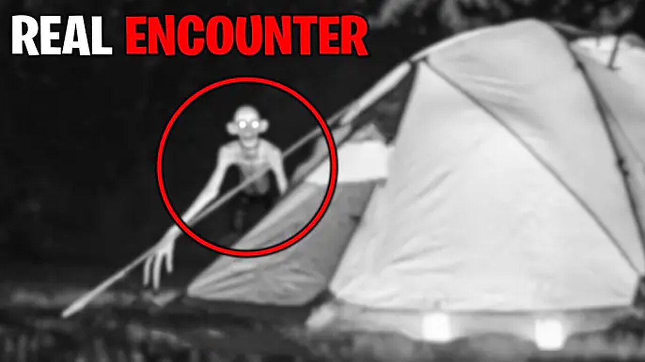 Trail Camera Captures What No One Was Supposed To See!