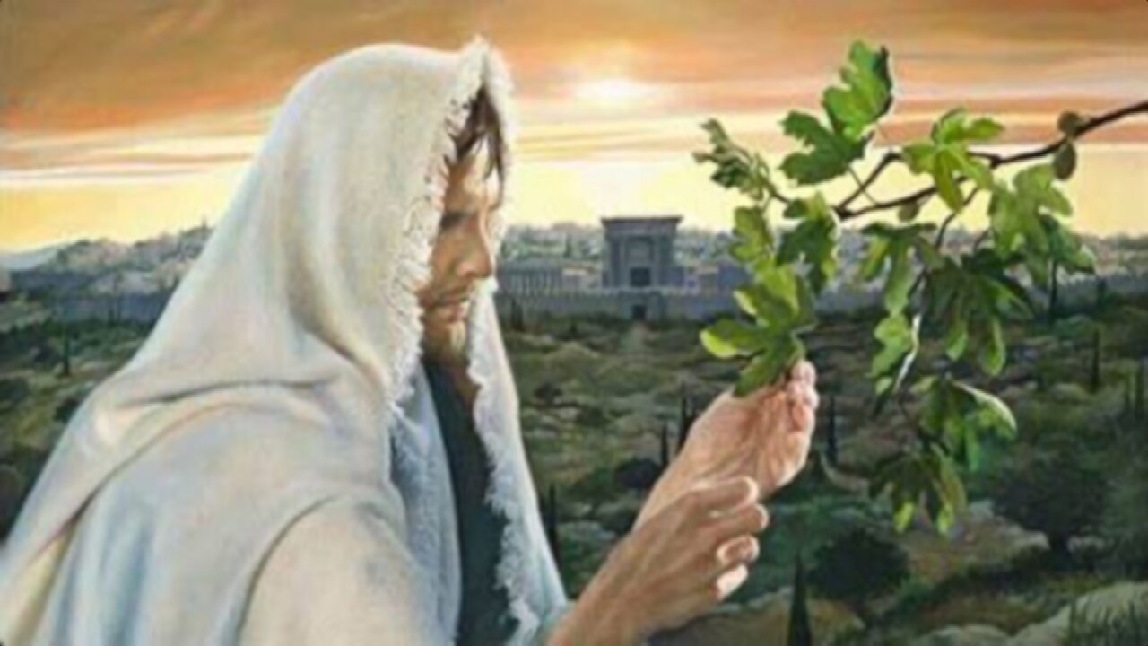 WHAT CAN WE LEARN FROM THE FIG TREE JUN 8 2025 *Full service*