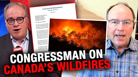 US congressman calls out Canada's forest management failures