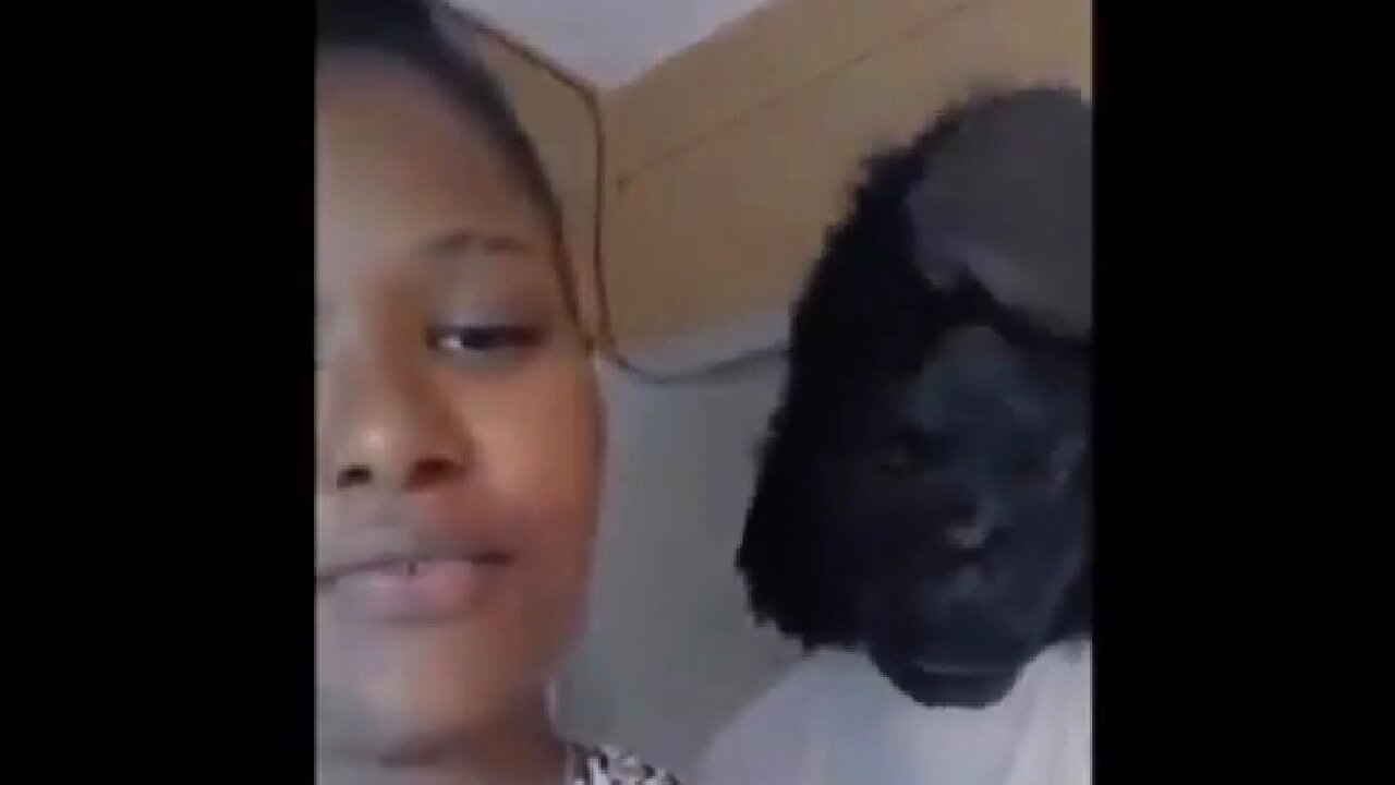 THE BLACK MENACE #8 - IT'S JUST IN THEIR BLOOD 🔥