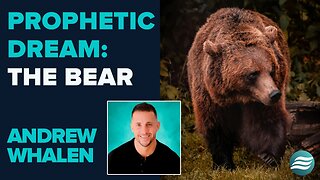 Andrew Whalen Prophetic Dream: The Bear | November 18 2025