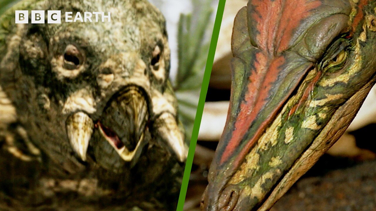 Placerias vs Celophysis: Battle for Triassic Survival | Walking With Dinosaurs 1999| BBC Earth