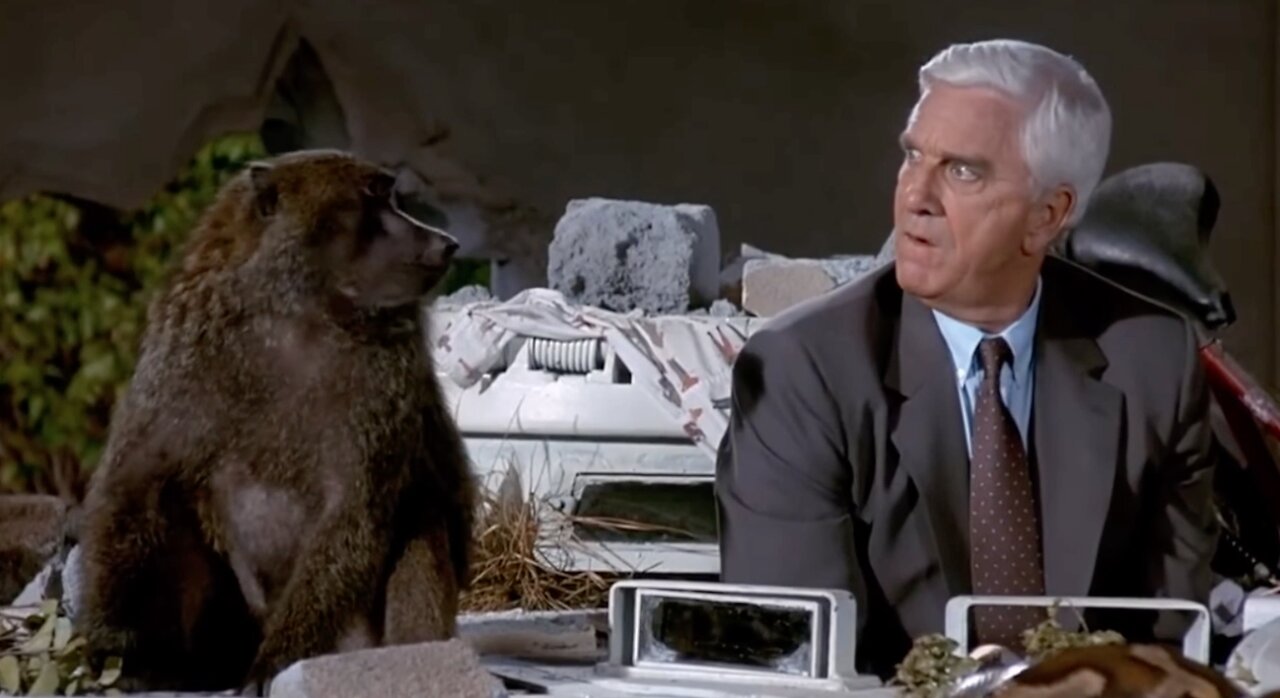 Isn't that the fault of the voters? (The Naked Gun 2-1/2)