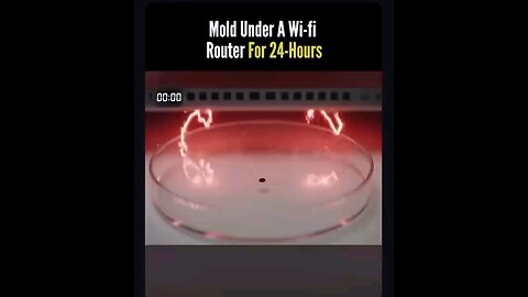 Mold and WiFi