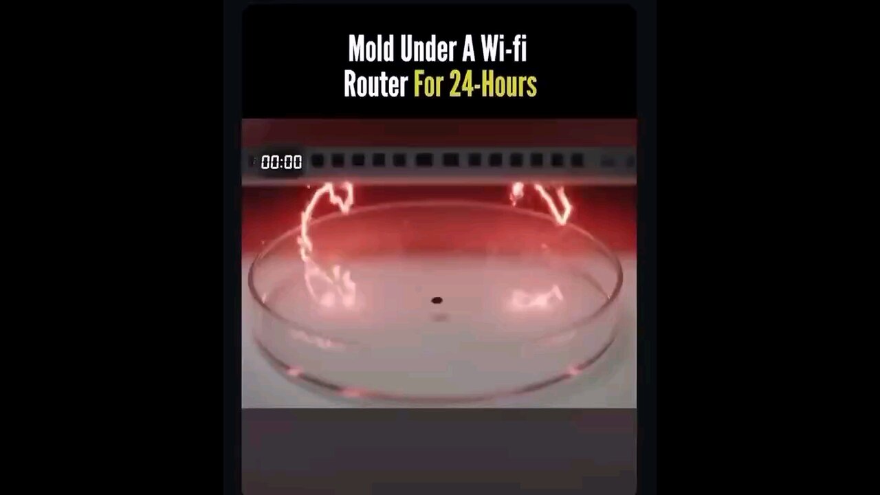 Mold and WiFi