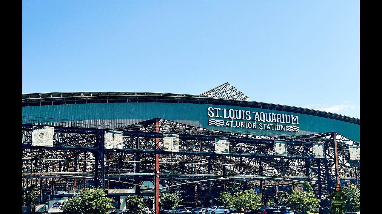 Discovering Marine Life at the Saint Louis Aquarium: A Visual Journey