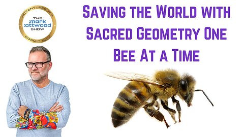 Saving the World with Sacred Geometry One Bee At a Time – 7th Aug 2025
