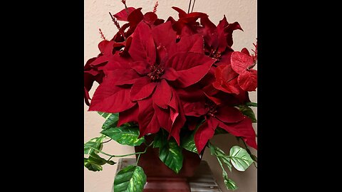 Blessing Heights Church A Vision Dec 25, 2025 Many Witnesses