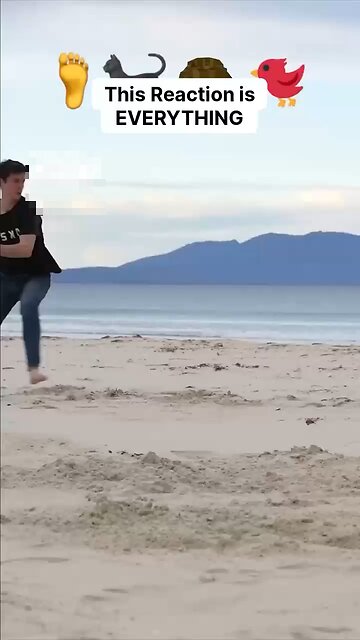 Martial arts😂😂😂