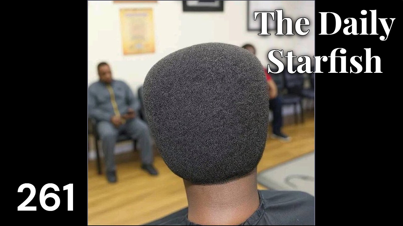 The Daily Starfish #261