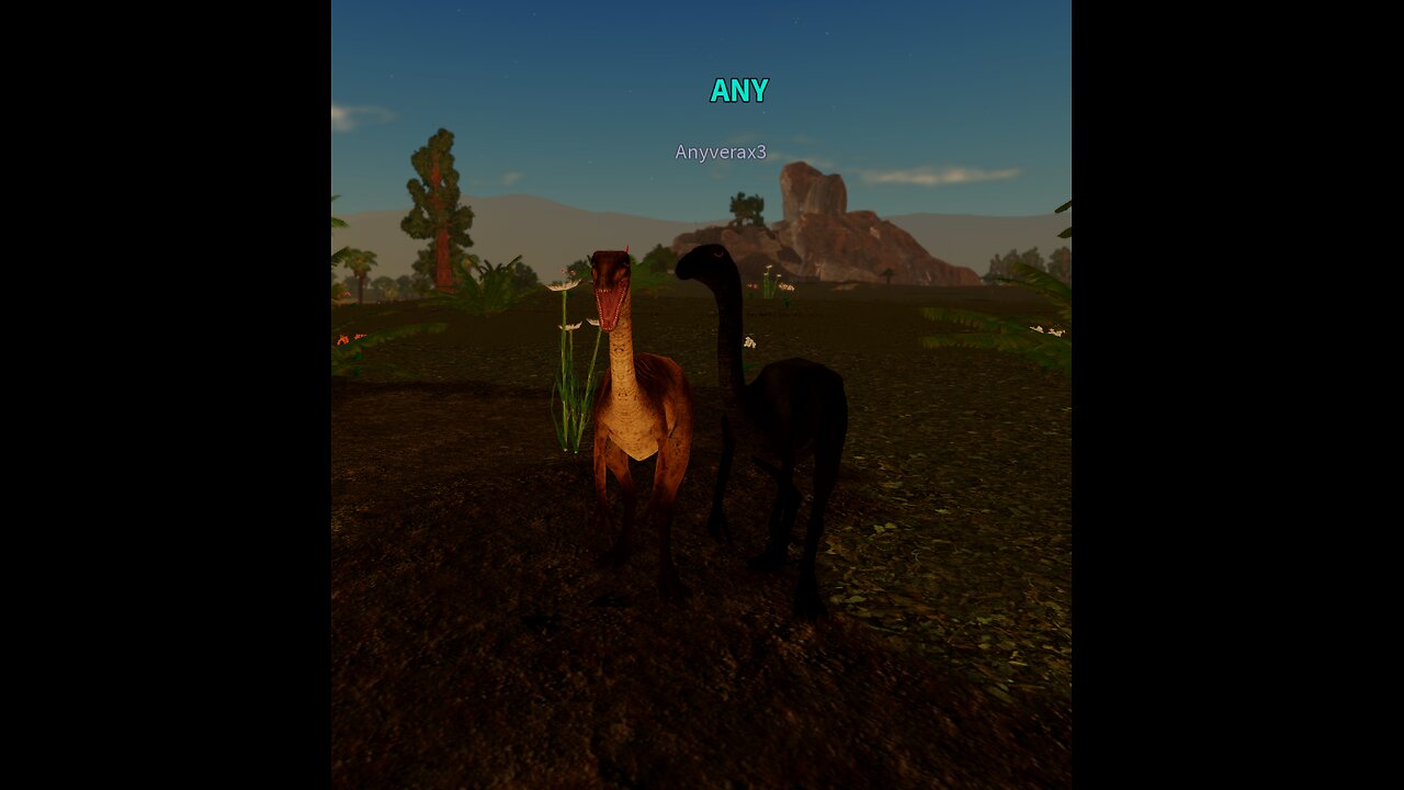 gallimus savanah life