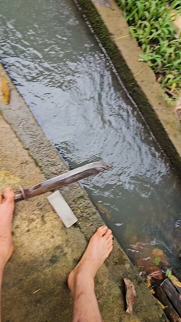 Coconut Hunting for Fruit / Seeds 코코넛 사냥, 시앗과 과일 찾기 #philippines #필리핀