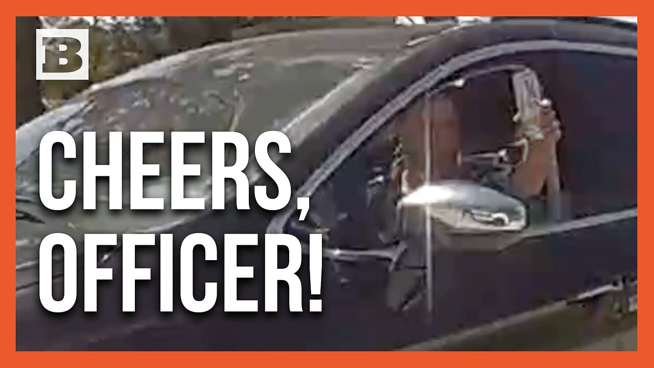 Florida Man Offers Vodka Spritzer to Deputy During Wild Chase, Asks: "You Guys Had Fun, Though?"