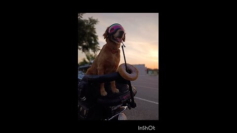 Me and My Dad Doing Biker shit
