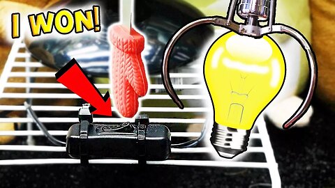 Turn the light on, win from the claw machine!