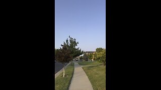 Going for a walk