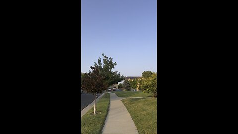 Going for a walk