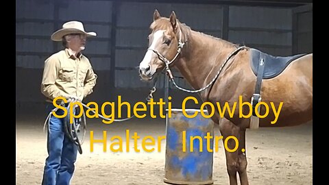 Spaghetti Cowboy Side pull training halter