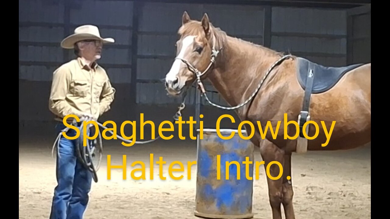 Spaghetti Cowboy Side pull training halter Part 1