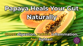 Eat Papaya Every Week – The Surprising Benefits No One Talks About