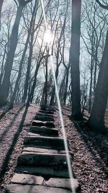 LIGHTNING TIGER SAGA VOL. II