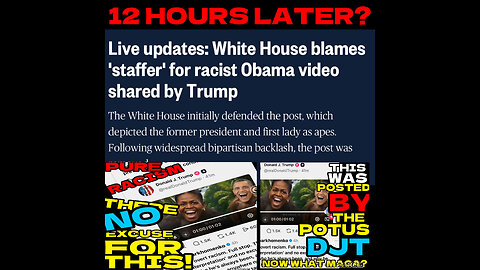 ALGA #10 SO LET’S BLAME A STAFFER FOR RACIST POST!