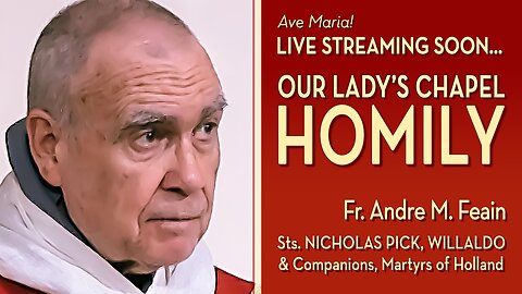 Martyrs of Holland: Sts. Nicholas Pick, Willaldo, and Companions - July 9, 2025 - OLC HOMILY
