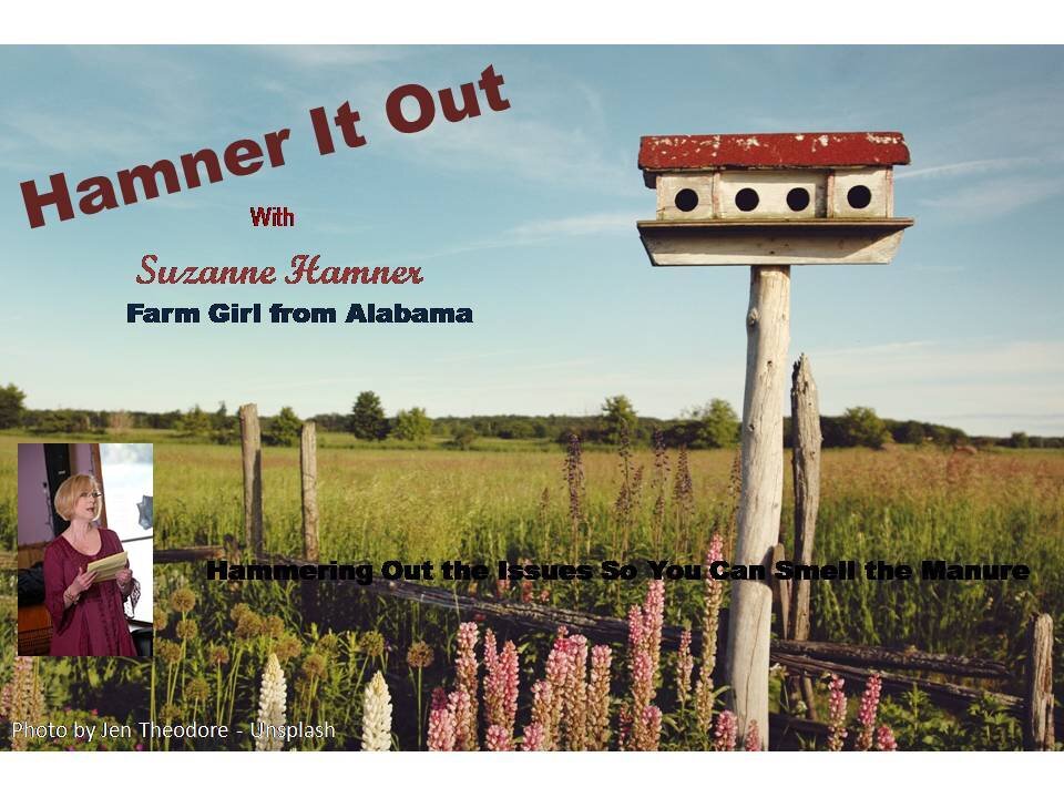 RFK Jr. Directs Health Officials to Find Treatment for Measles and Other Happenings