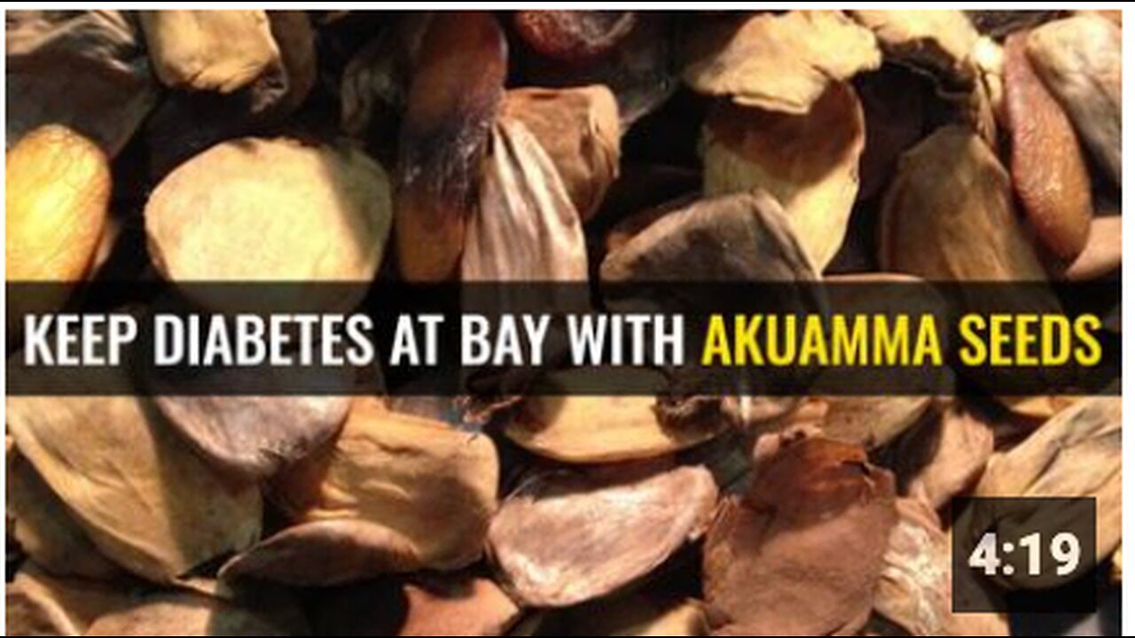 "Control Diabetes Effectively with Akuamma Seeds"