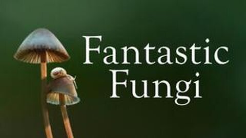Fantastic Fungi (2019)