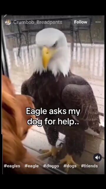 The Tunnell Take Its probability CGI but still.....