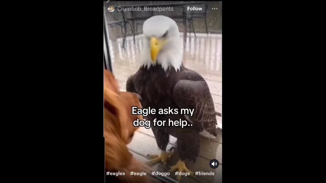 The Tunnell Take Its probability CGI but still.....