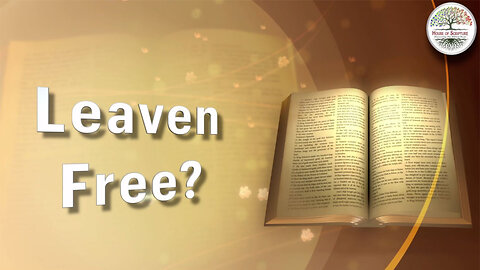 Leven Free March 29, 2025