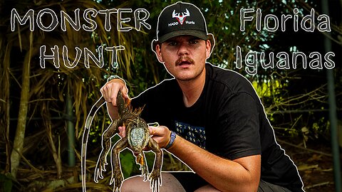 MONSTER HUNT // Florida Iguanas MADD Hunts 4K