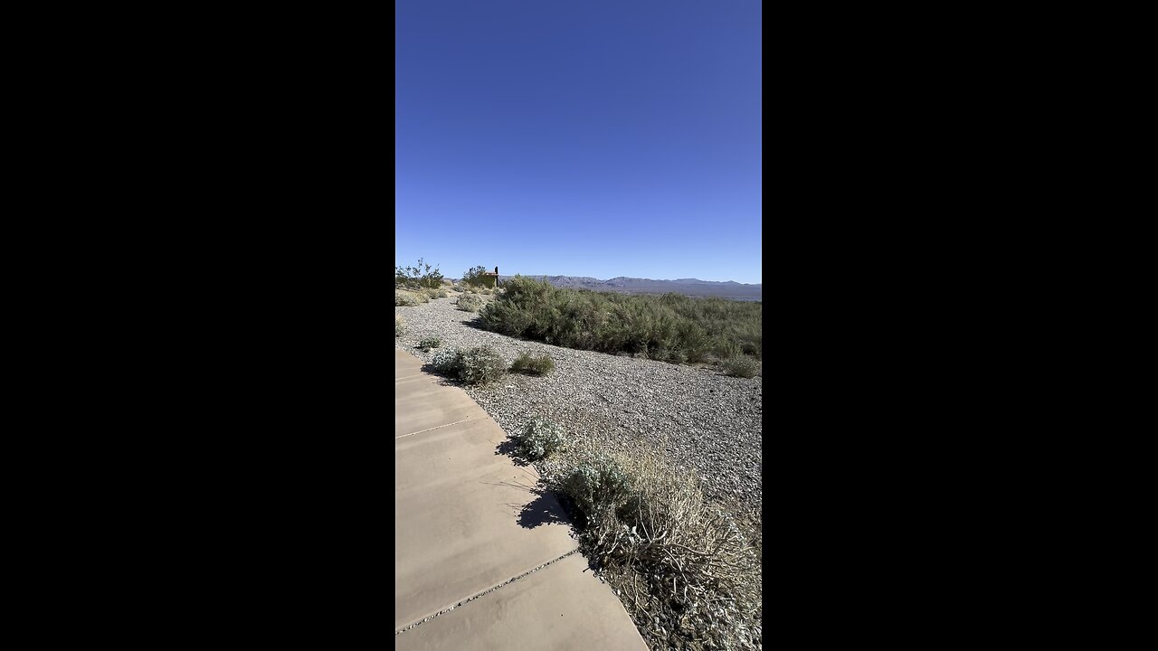 Rogers Spring In Overton Nevada