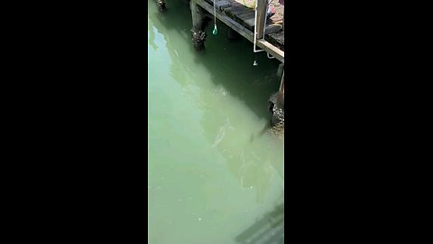 look😱😱😱😱