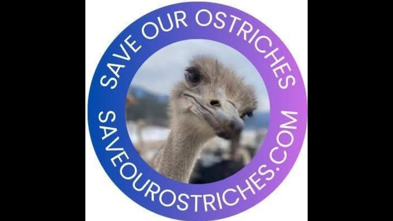 THESE BEAUTIFUL..ANIMALS DO...NOT...NEED...TO...DIE | KATIE PASITNEY