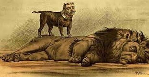 A LIVING DOG IS BETTER THAN A DEAD LION